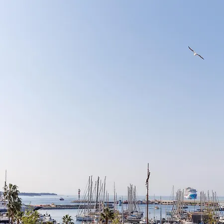 Rosa Blu Yourhosthelper *