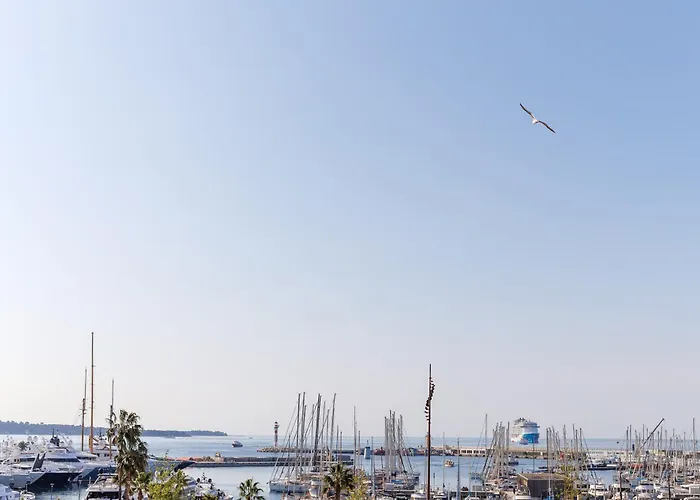 Rosa Blu Yourhosthelper *